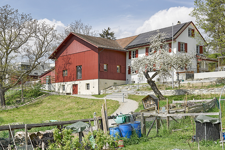 Quartierhof Höngg - Open House Zürich